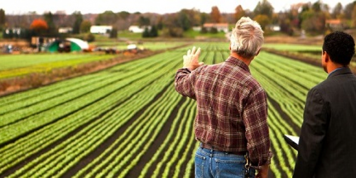 Agribusiness