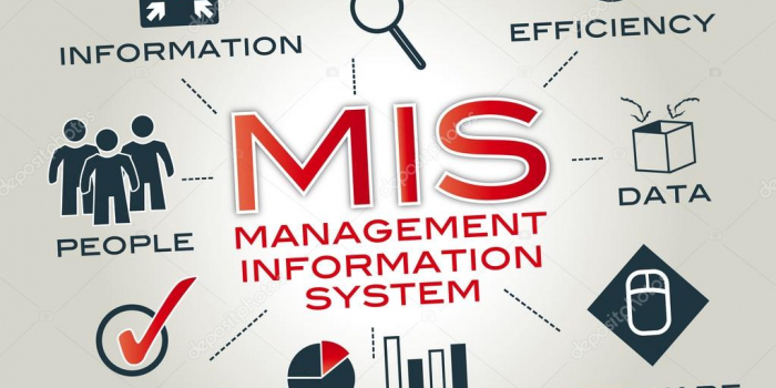 Information Systems Management