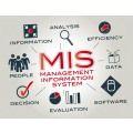 Information Systems Management