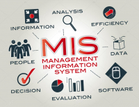 Information Systems Management